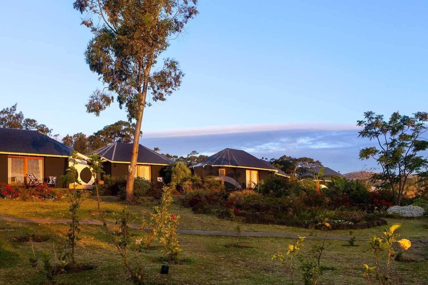 Отель Altiplanico Rapa Nui Ханга-Роа Экстерьер фото
